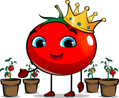 Dwarf &amp; Balkontomaten
