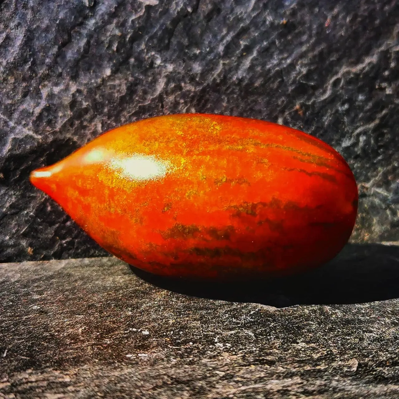 Zeppelin