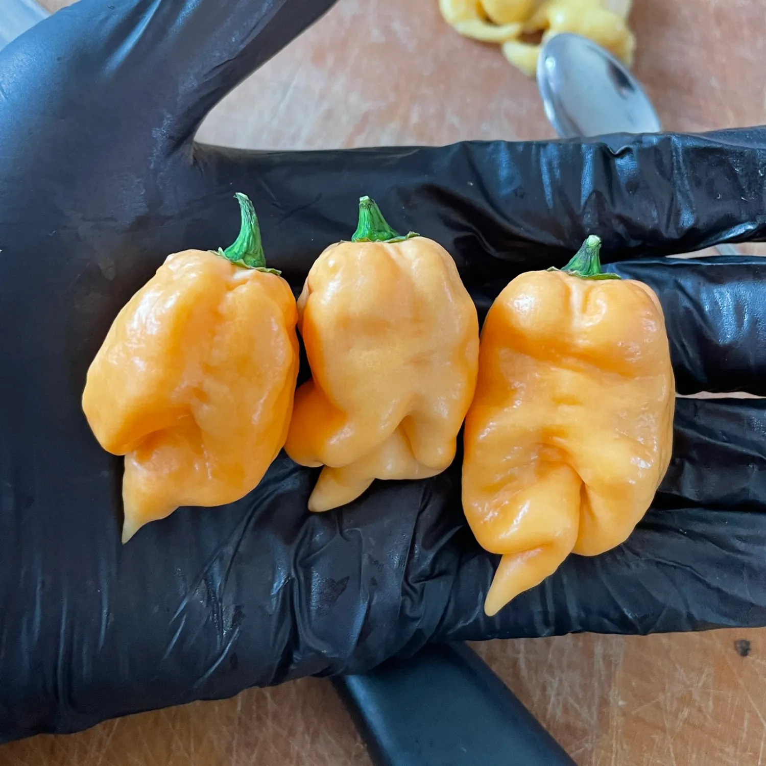 Carolina Reaper White