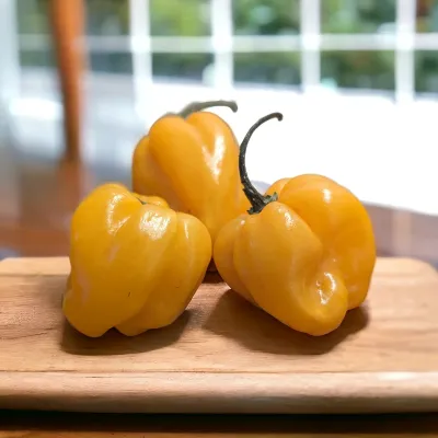 Habanero Gelb
