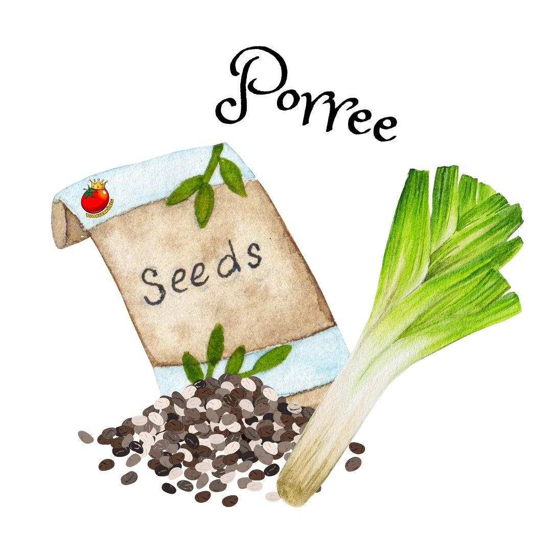 Porree