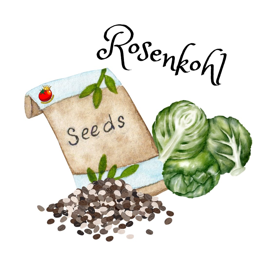 Rosenkohl