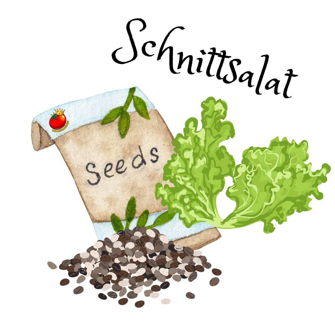 Schnittsalat