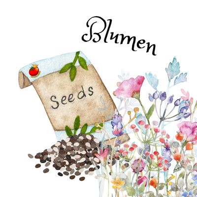 Verschiedene Blumen