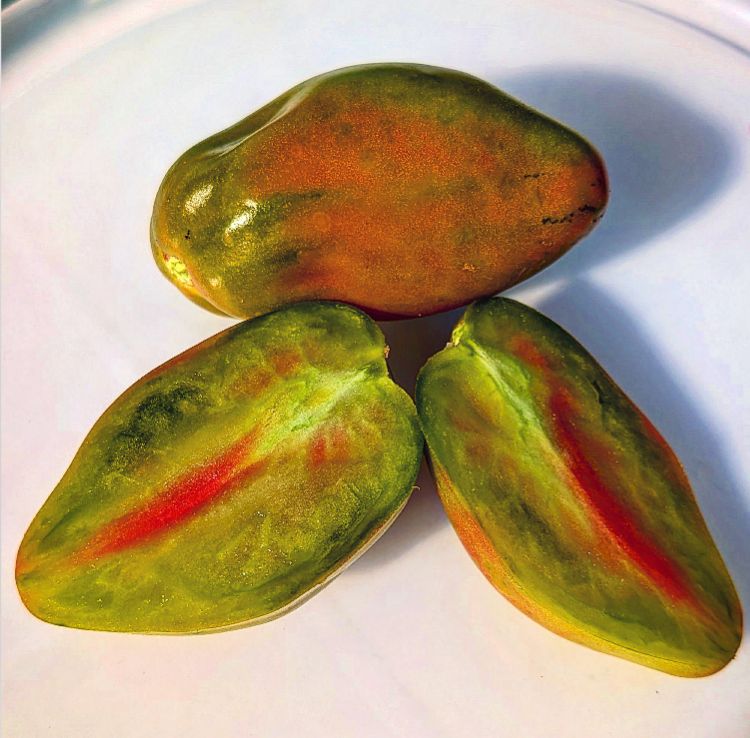 Elves of the Puzzlewood