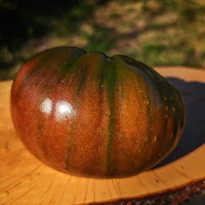 Brads Black Heart Brads Black Heart