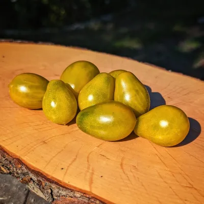 Amber Keyes Multiflora