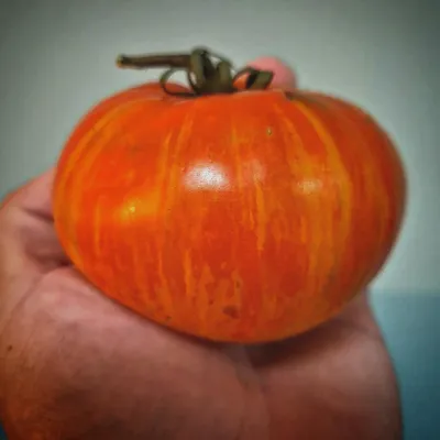 Plan 9 from Outerspace Plan 9 from Outerspace