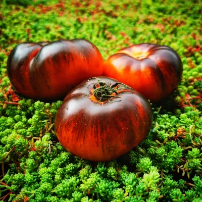 Ananas Blau Ananas Blau