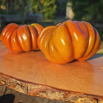 Fleur de Reagir Fleur de Reagir