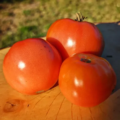 Red Butter Heart Red Butter Heart