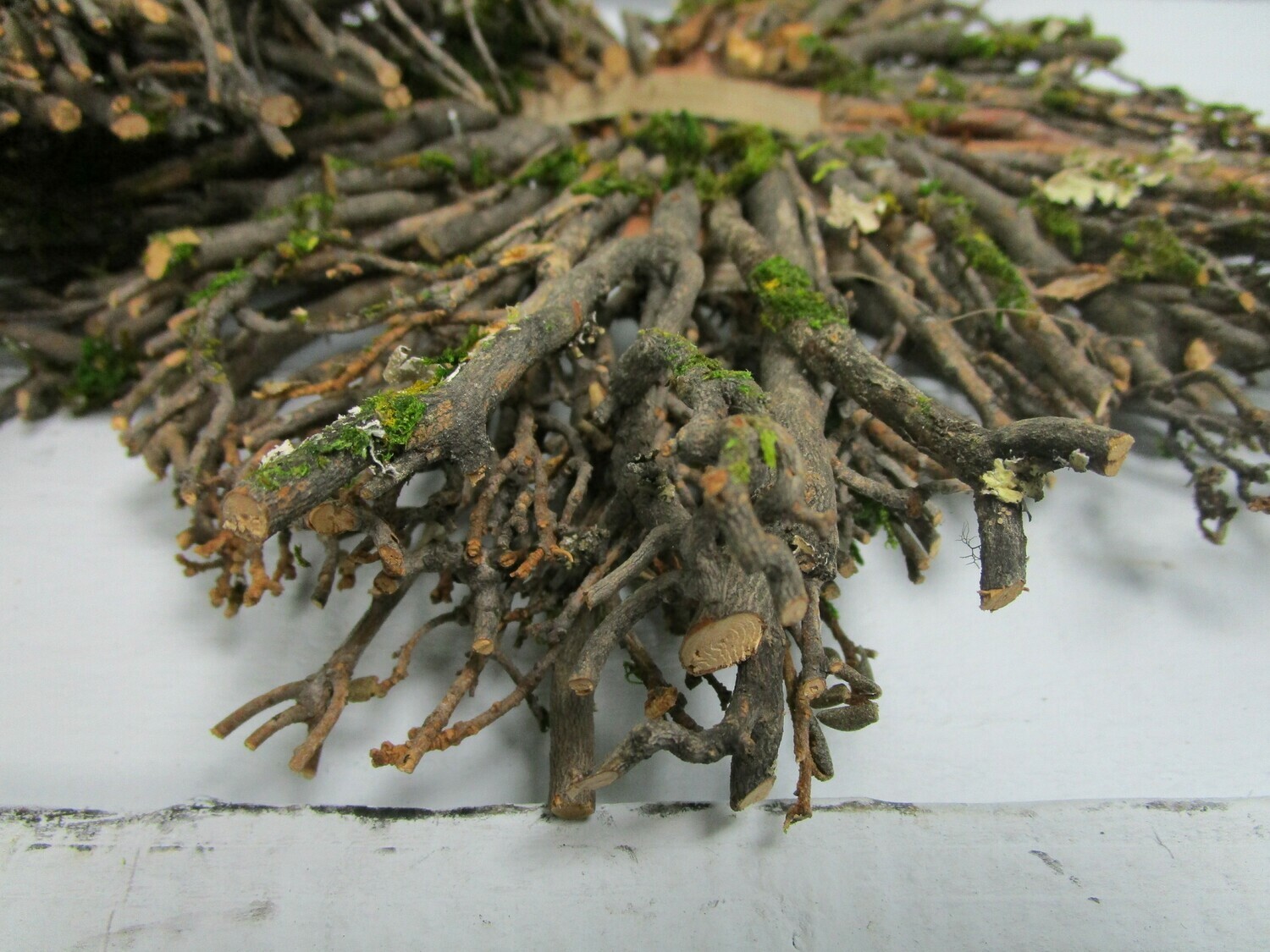 Twig Circle pack of 3. HS Code: 0603000000
Country Of Origin: South Africa