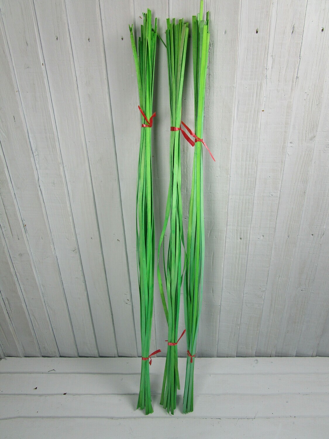 Woodband Apple Green. HS Code: 0603000000
Country Of Origin: South Africa