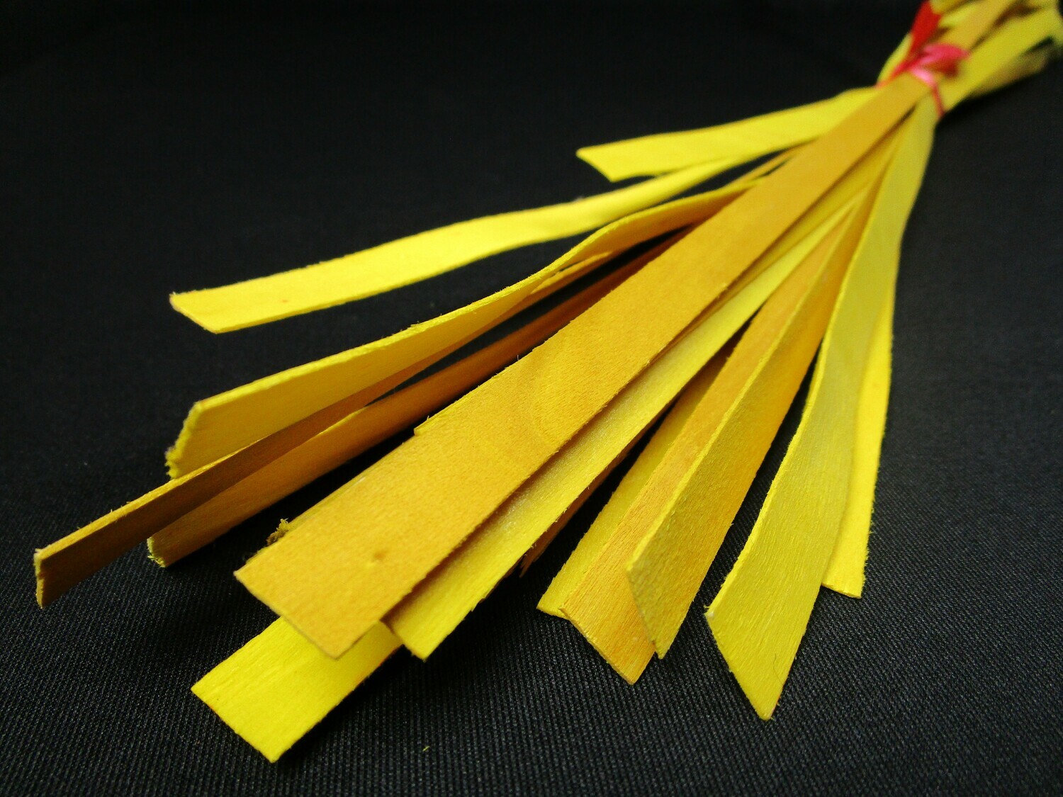 Woodband Yellow. HS Code: 0603000000
Country Of Origin: South Africa