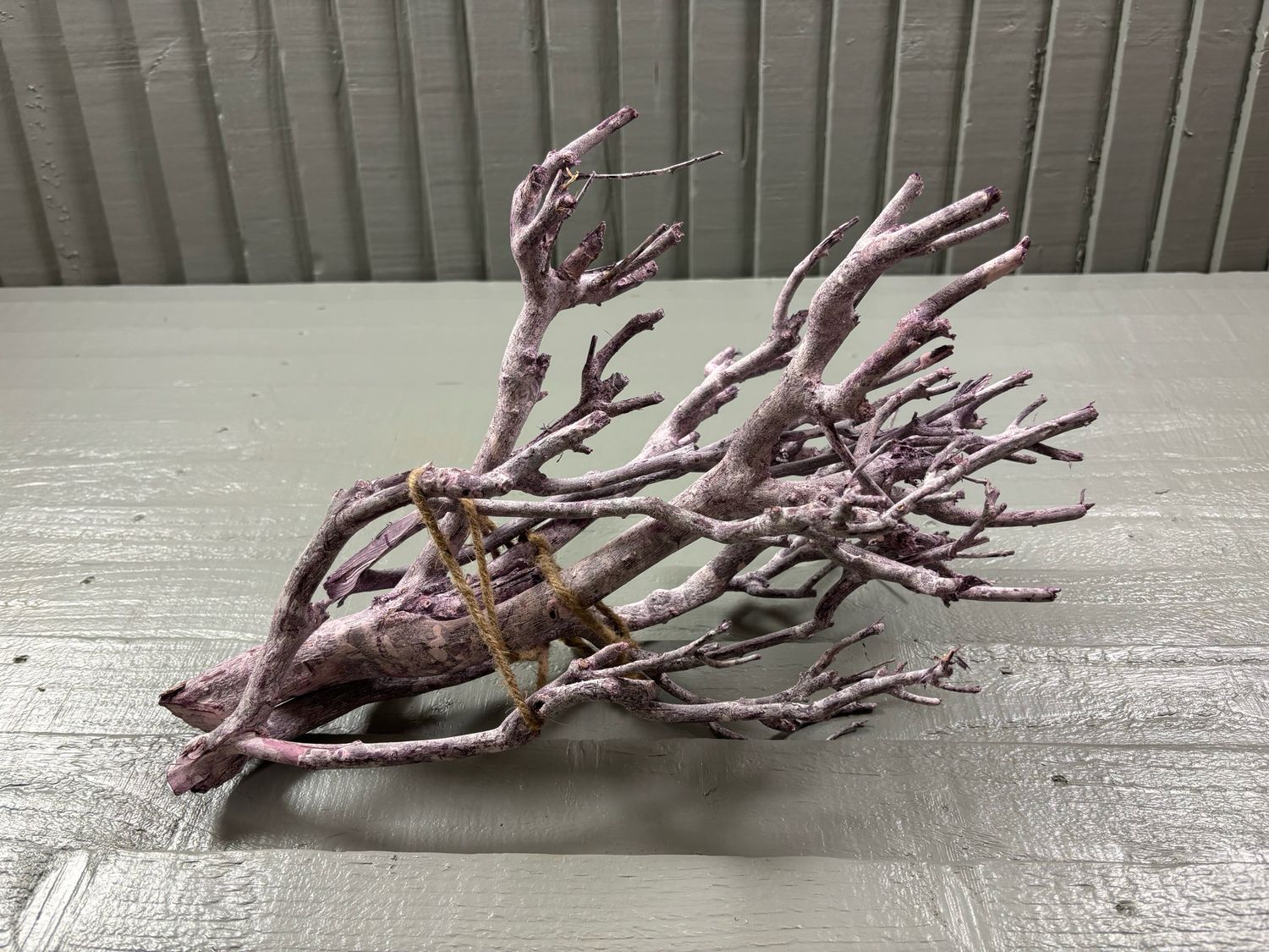 Curry Bush Stone Washed Brombeer
