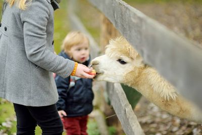 Other Animals