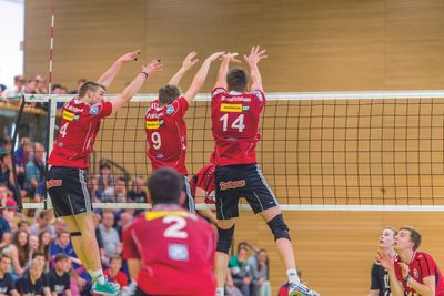 Volleyball-Turniernetz mit DVV-Prüfzeichen - verschiedene Ausführungen