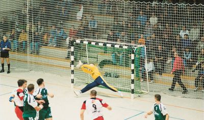 Kleinfeld-/Bolzplatztornetz 3x2m - verschiedene Ausführungen
