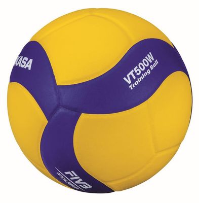 Mikasa® Volleyball VT500W