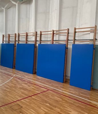 Prallschutzmatten für Sprossenwand, Gitterleiter & Kletterstange Prallschutzmatten für Sprossenwand, Gitterleiter & Kletterstange