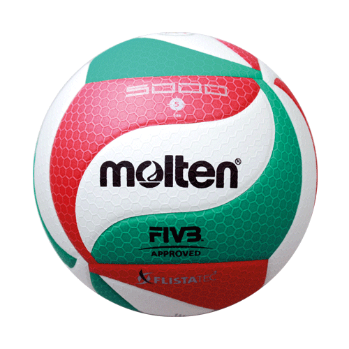 Molten® Volleyball V5M5000-DE