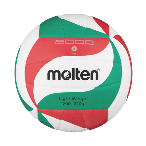 Molten® Volleyball V5M2000-L