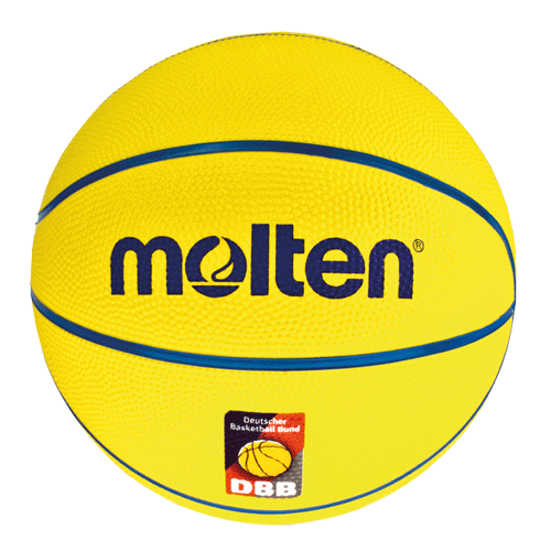 Molten® Basketball SB4-DBB