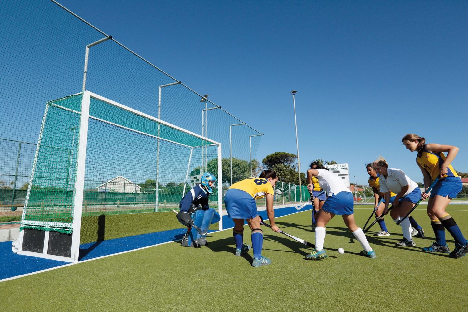 Feldhockey-Tornetze - verschiedene Ausführungen