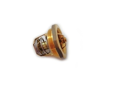 Thermostat Early Screw In Type Thermostat Early Screw In Type