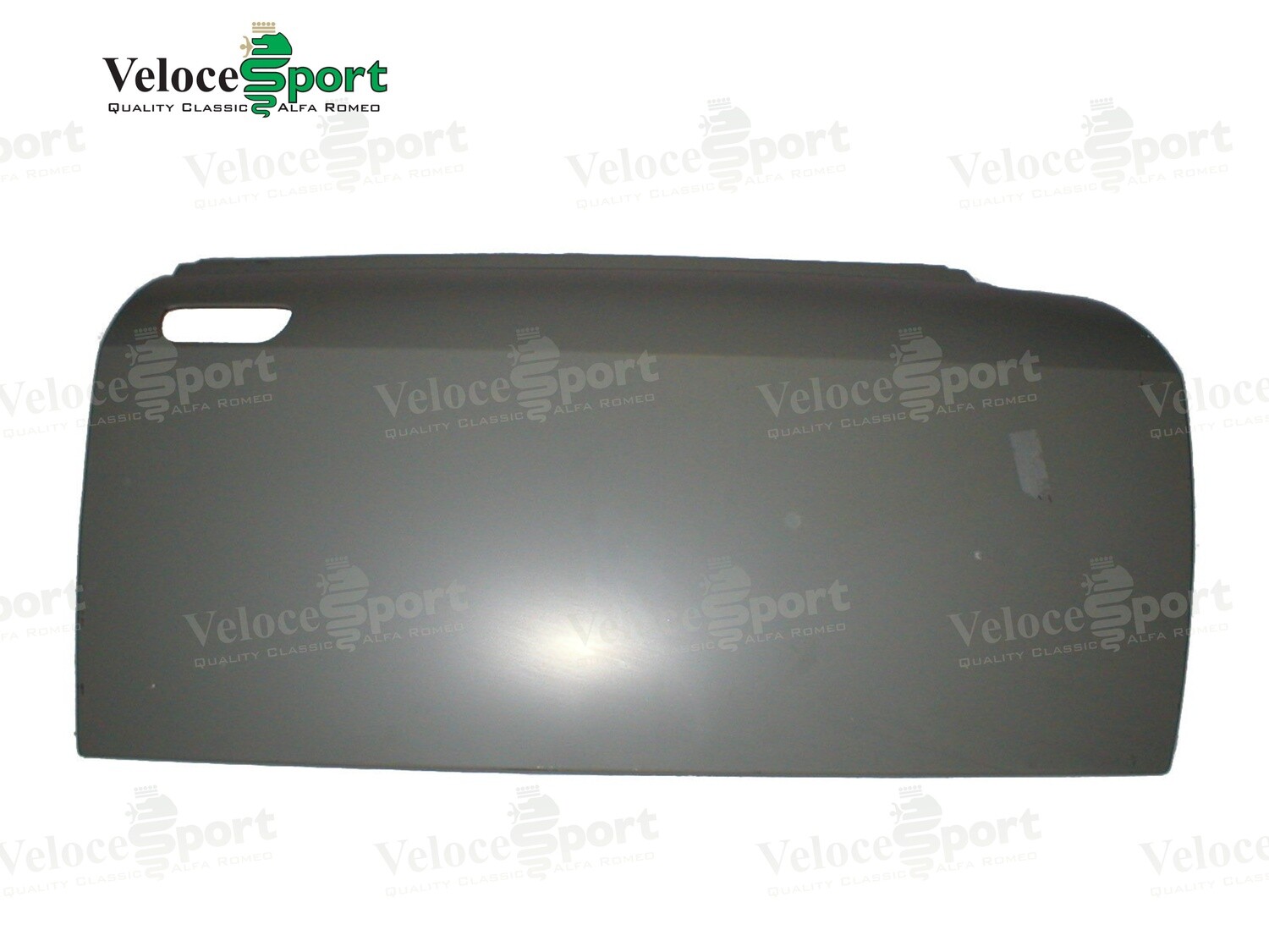 GT/GTV Door Skin, Right Side