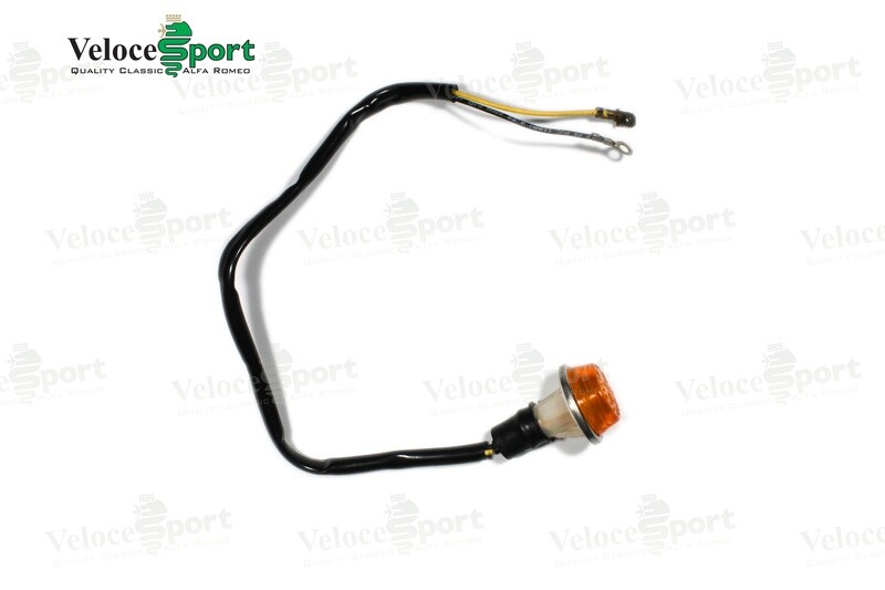 Carello Complete Indicator Repeater Light Unit