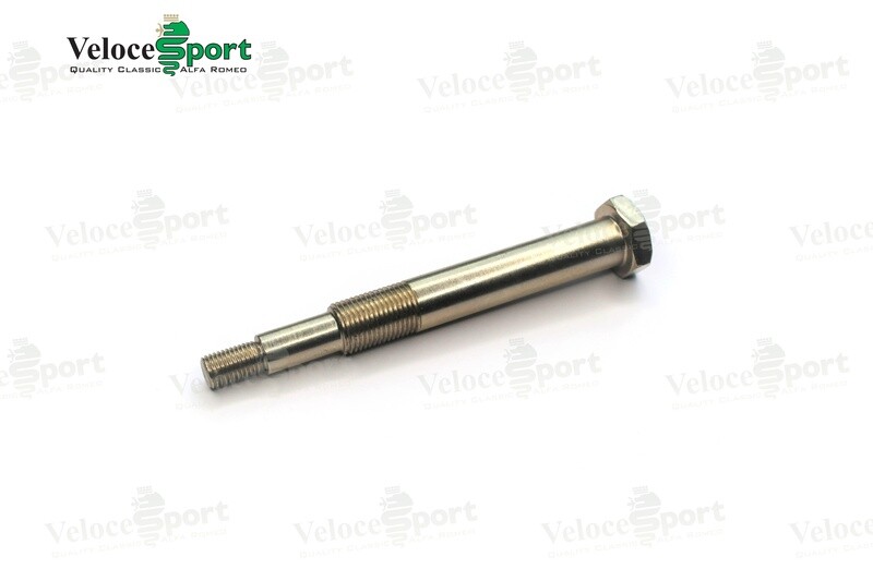 Rear Trailing Arm Rear Bolt