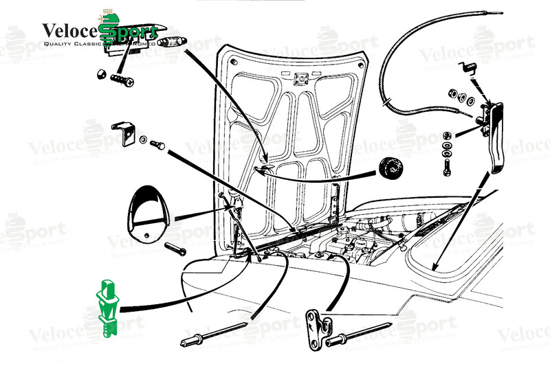 GT/GTV Courtesy Light Switch