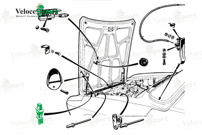 GT/GTV Courtesy Light Switch