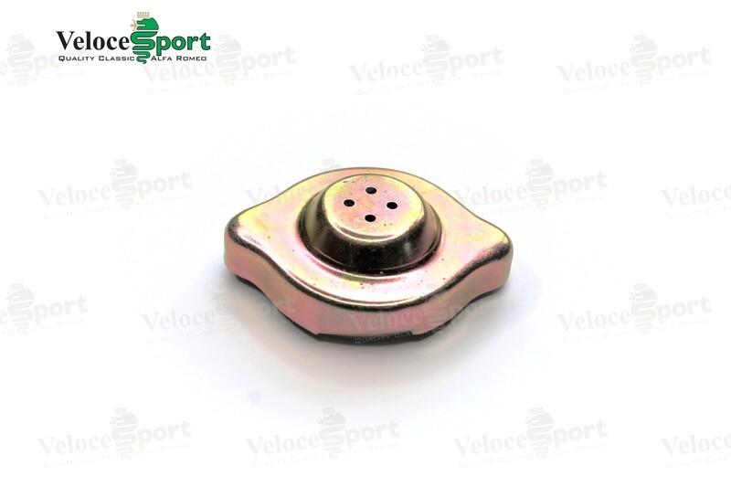 Cap For Radiator Expansion Tank