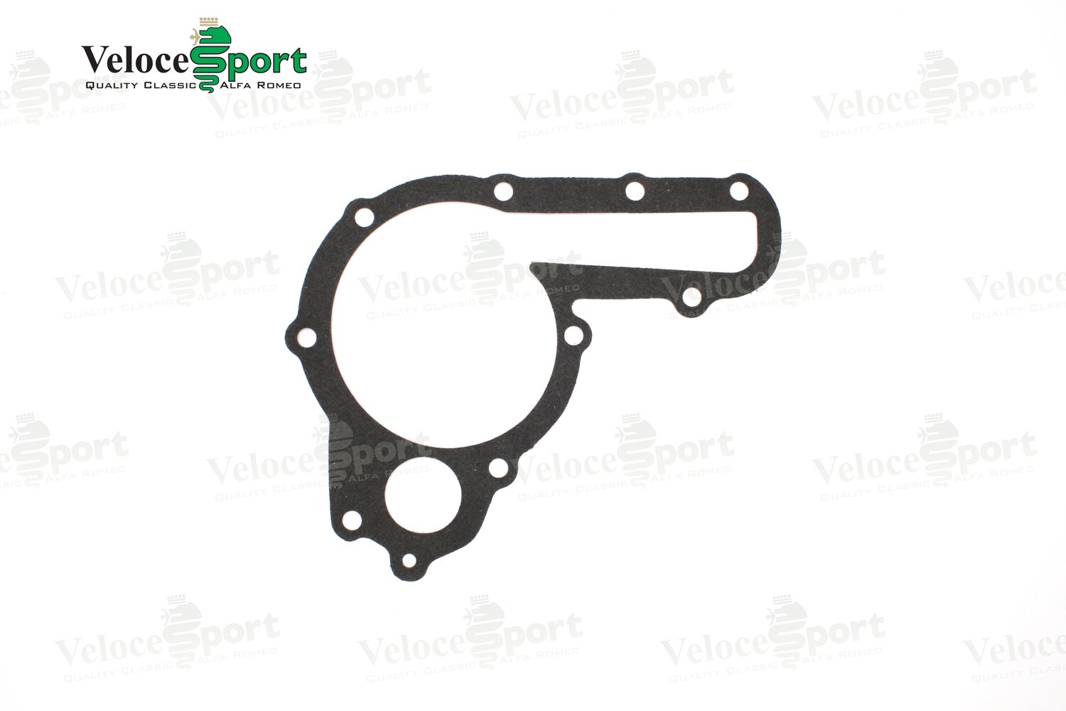 Water Pump Gasket
