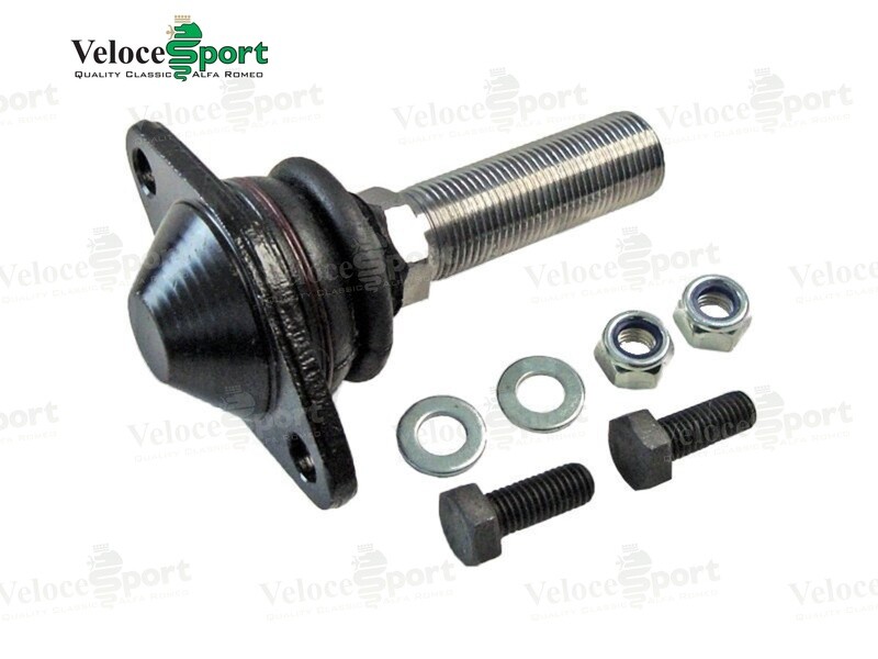 Castor Arm Ball Joint