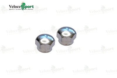 Wiper Arm Domed Alloy Nut, Pair