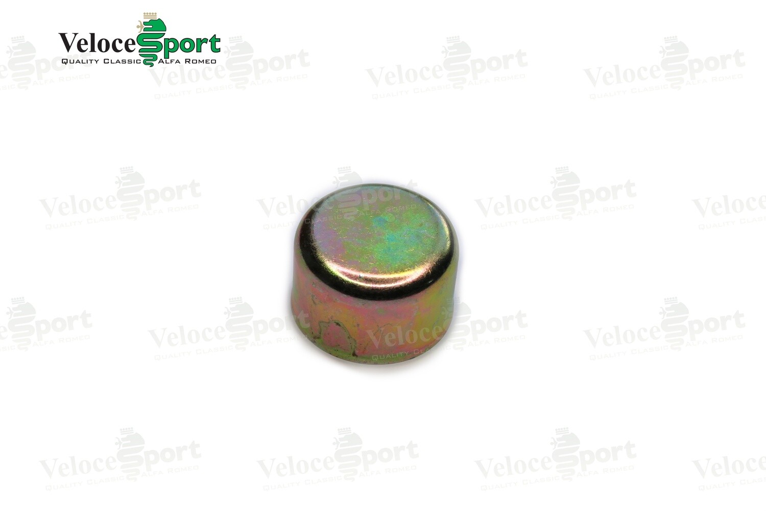 Bottom Wishbone Bush End Cap