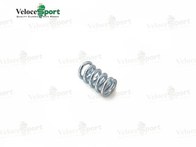 Handbrake Shoe Retaining Spring