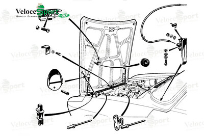 Boot/ Under Bonnet/ Courtesy light Bulb 5w
