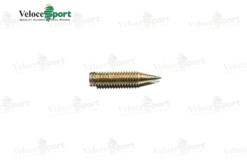 Interior Door Handle Grub Screw