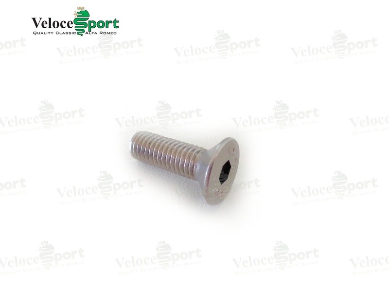 GT/GTV Door Hinge Bolt