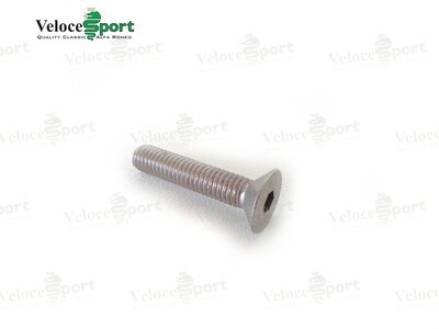 GT/Saloon Door Lock Striker Plate Fixing Bolt