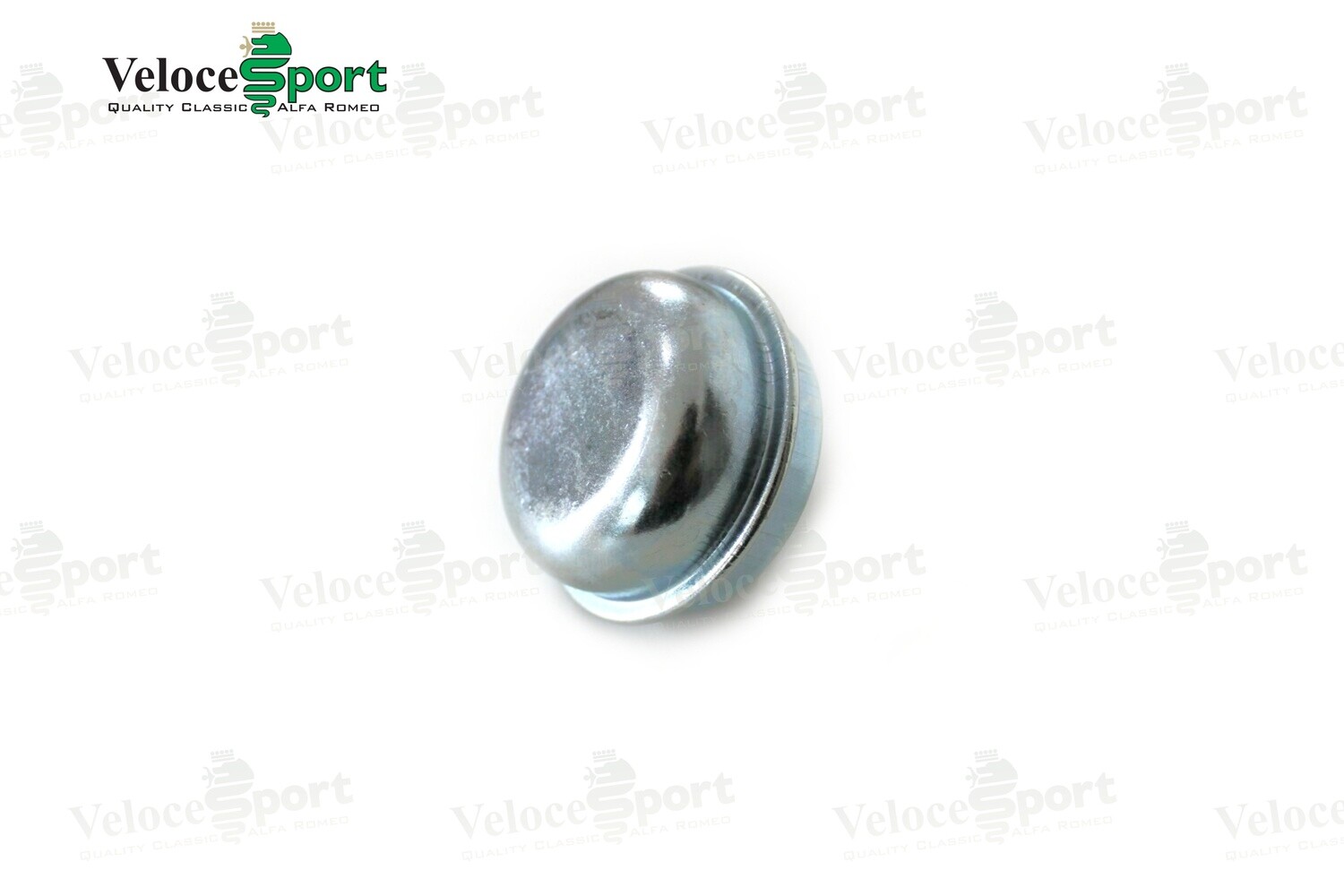 Front Wheel Bearing Grease Cap