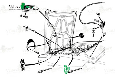Bonnet/ Hood Stay Support