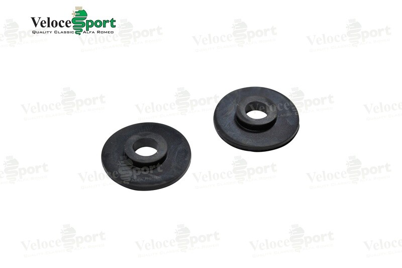 GT/GTV Rear Side Window Rubber Grommets