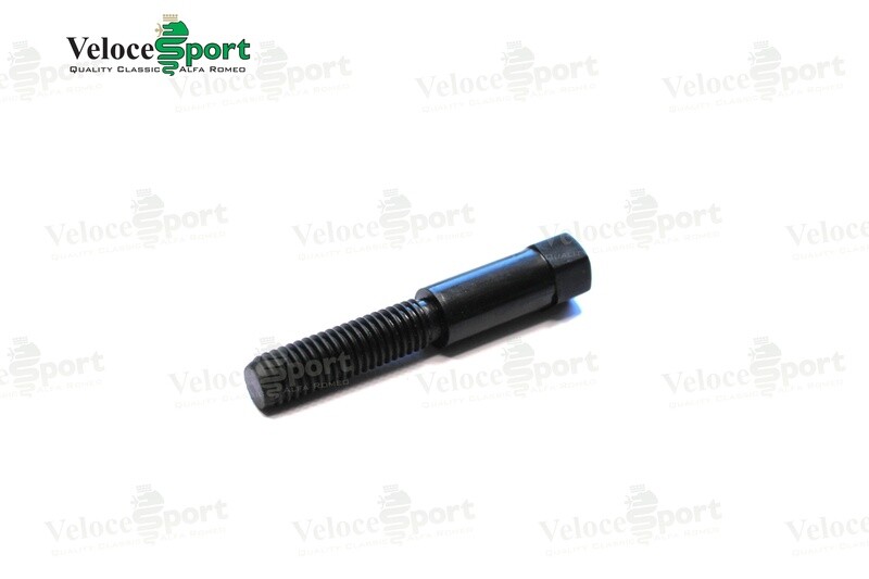 Rear View Mirror Anti Vibration Screw
