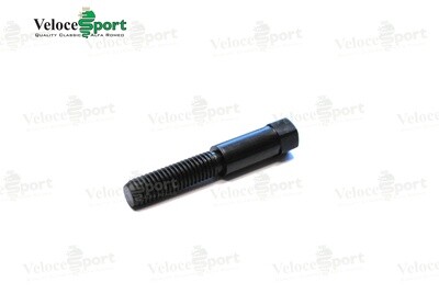 Rear View Mirror Anti Vibration Screw