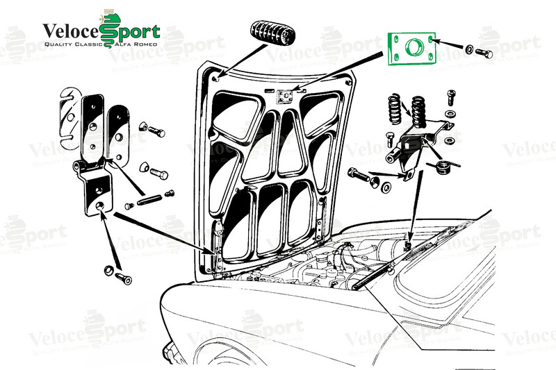 Bonnet Catch